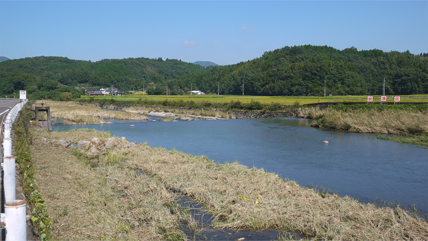 院内町・すっぽんの甲羅干し(3)
