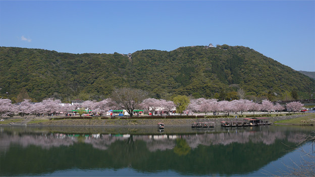 錦帯橋@2017(5)