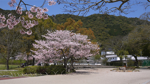 吉香公園(4)