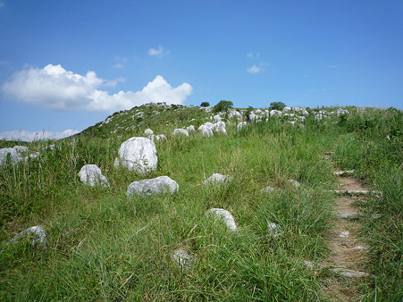 平尾台 吹上峠