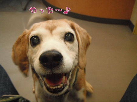 やった~♪