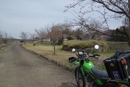 DSC04227