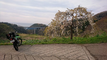 DSC_1417