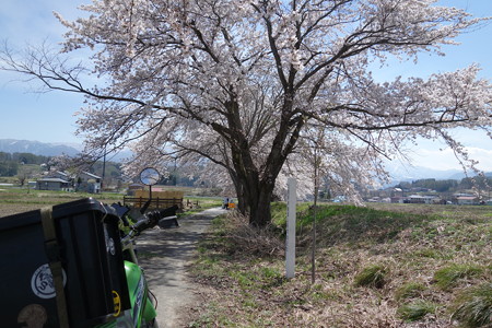 DSC04266