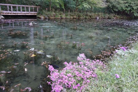 DSC04512