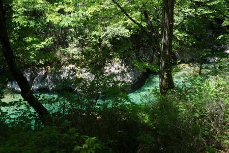 DSC04520