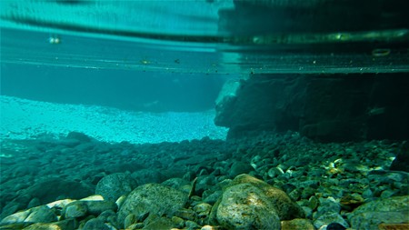 DSC_1945 (2)