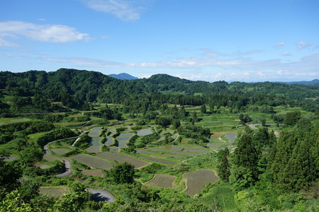 DSC04586