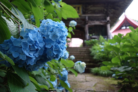 DSC04690