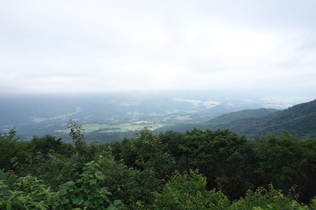 DSC04704