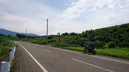 DSC_0294