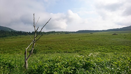 DSC_0389