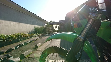DSC_1767
