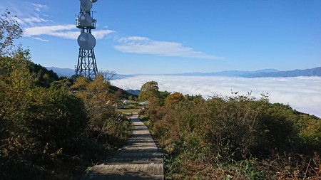 DSC_1904