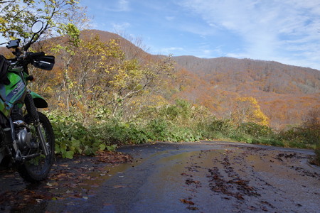 DSC05077