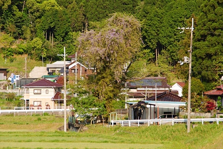 simohonngounooomuku10