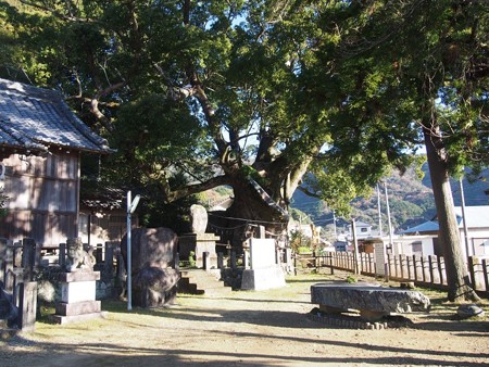 ootaninokusu14
