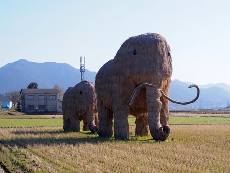 inawaramanmosu03