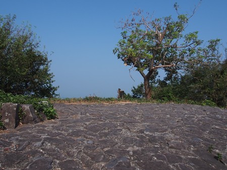 wasigaminetetenboudai_megisima09