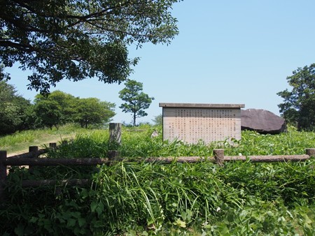 aonoyama_kagawa10