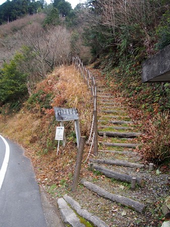 singuuDAMtenboudai07
