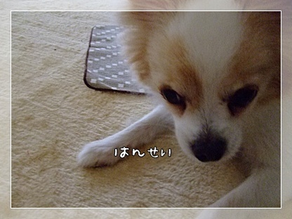 反省