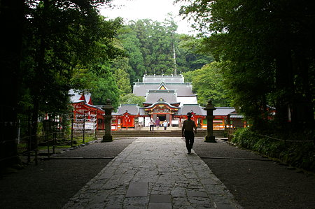IMGP2941