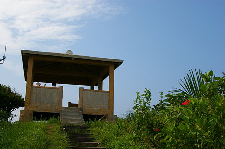 IMGP0644