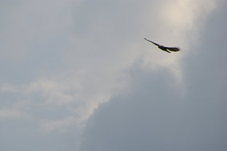 IMGP1631