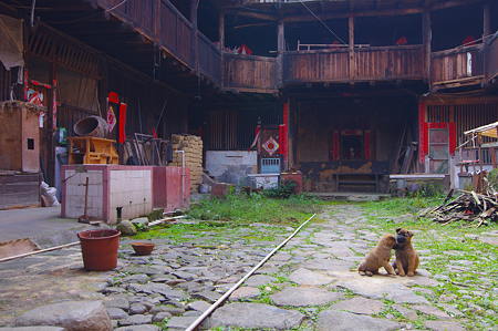 IMGP3814