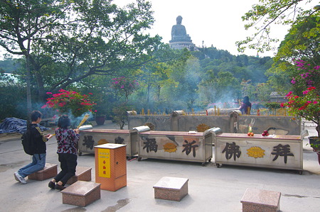 IMGP8653