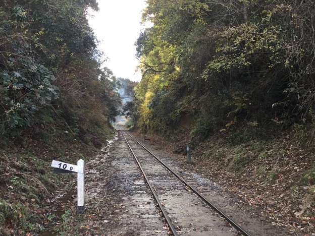 撮って出し。。まるで森の鉄道。。小湊鉄道12月10日