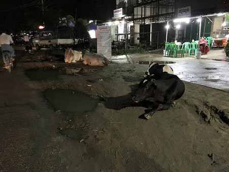 ヤーザディリッ 牛が座る道 (1)