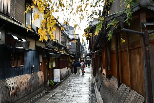 20171104京都（祇園、白川）7