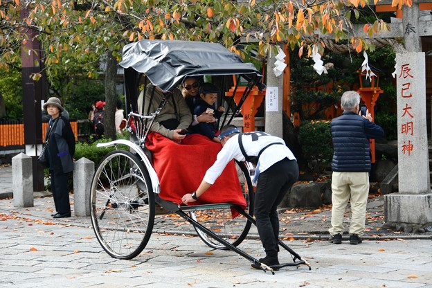 20171104京都（祇園、白川）8