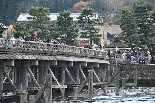 20171115京都嵐山嵯峨野19