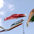 5月