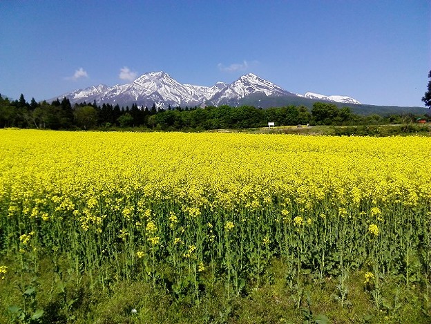 大洞原 (1)