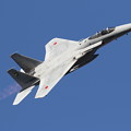 Photos: F-15J帰投