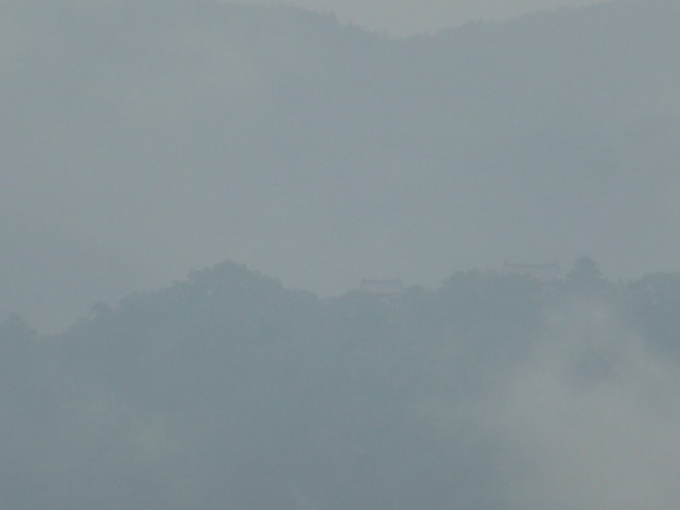 霧にかすむ松山城