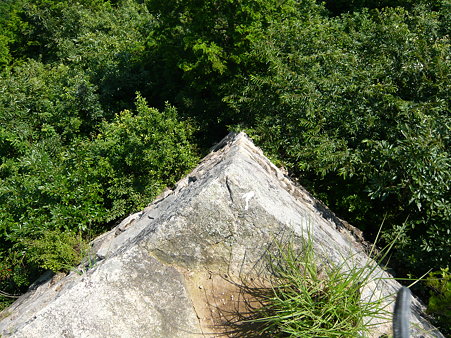 P1000809