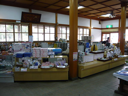 P1010241