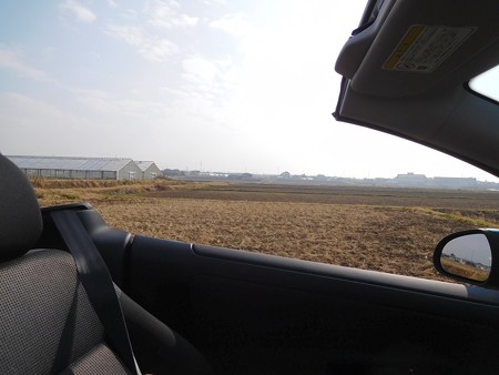DSCN3207