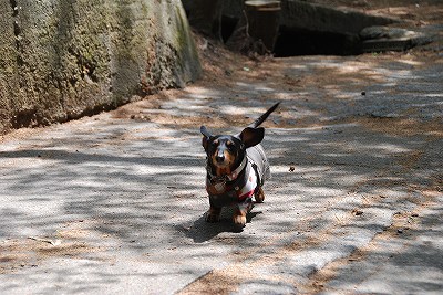 若返り