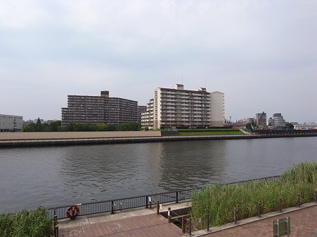 隅田川・北千住側岸(2009/7)