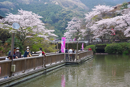 110410奥山花見04