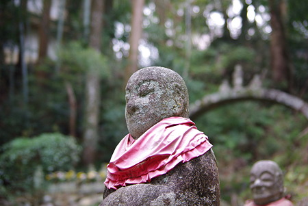 110410奥山花見06
