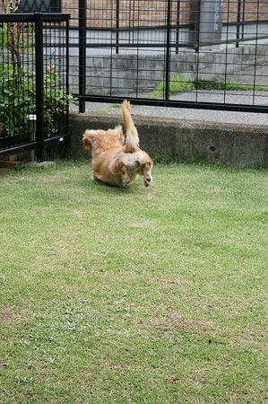 取~~ったなり!!
