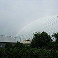 Photos: 虹