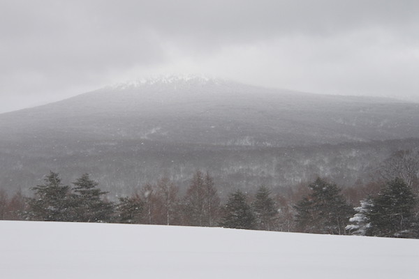 萱野高原では再び雪が降ってきた